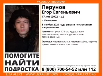 Фото: В Кузбассе волонтёры просят помощи в поисках пропавшего подростка 1