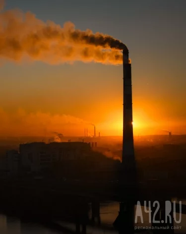 Фото: A42.RU
