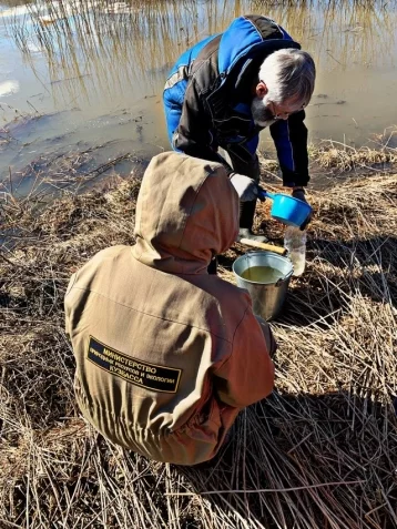 Фото: Проверка качества: в Кузбассе взяли пробы воды в реках Барзас и Шурап 3