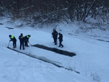 Фото: Кемеровские спасатели помогли обитающим на Искитимке уткам 1