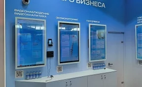 В Кузбассе представили ИИ-решение для экологического мониторинга