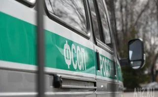 Медведь вышел к судебным приставам на нефелиновом руднике в Кузбассе