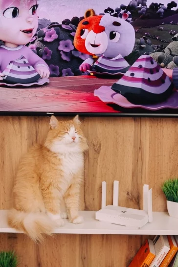 Фото: Гигабит — это только полдела: как раскрыть потенциал вашего интернета на максимум 1