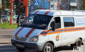 В Кемерове спасатели вызволили двух маленьких детей из закрытой квартиры