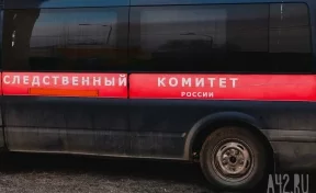Глава СК Бастрыкин запросил доклад о происшествии в Кемерове: водитель высадил девочку из автобуса на въезде в город