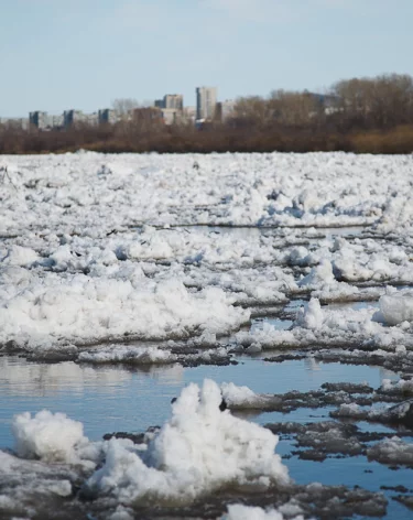 В Новосибирске морж вместе с прохожим спас провалившегося под лёд мужчину 
