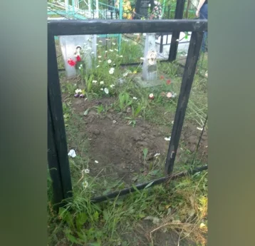 Фото: В Кузбассе СК начал проверку по факту осквернения могилы ветерана ВОВ 1