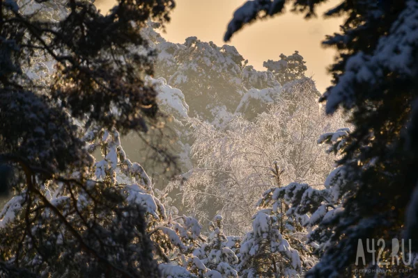 Тимофей Полузимник или Тимофеев день: народные приметы на 4 февраля