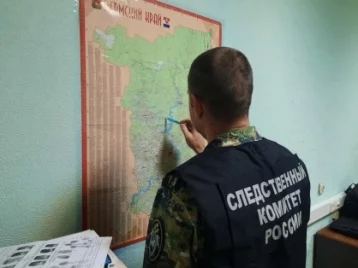 Фото: В Пермском крае умер избитый подростками мужчина 1