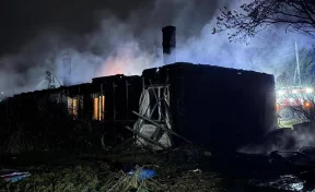 В Красноярском крае при пожаре погибли женщина и её трёхлетний сын