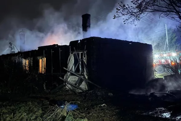 В Красноярском крае при пожаре погибли женщина и её трёхлетний сын