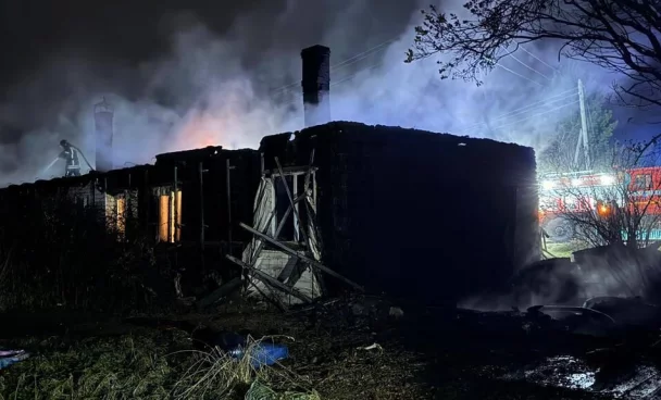 В Красноярском крае при пожаре погибли женщина и её трёхлетний сын