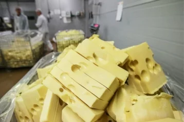 Фото: В Кузбассе найден и утилизирован санкционный голландский сыр 1
