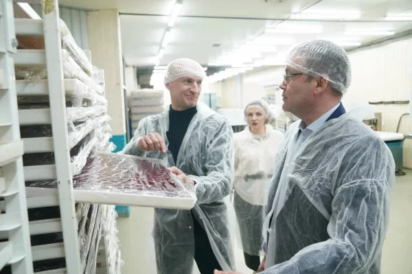 Губернатор Кузбасса проверил работу СПК по производству иван-чая и варенья из шишек