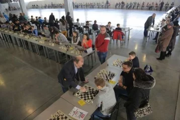 Фото: Кузбассовцы сыграли в шахматы одновременно на 400 досках 1