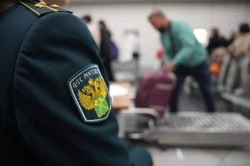 Фото: В аэропорту Волгограда у пассажирки изъяли 40 килограммов волос на 4 млн рублей 1