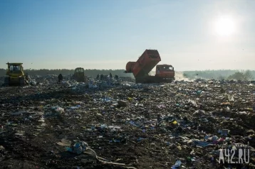Фото: Кузбасская фабрика заплатит 167 миллионов за загрязнение земель мышьяком 1