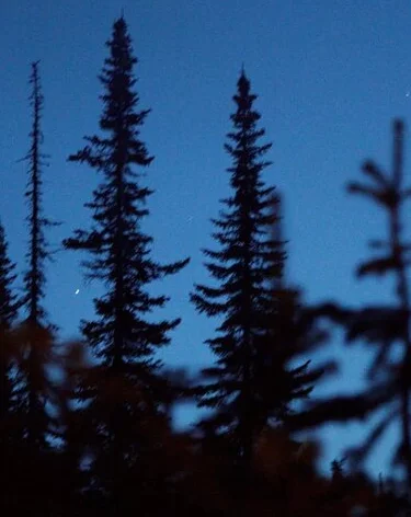 В Сочи туристы с детьми застряли в горах