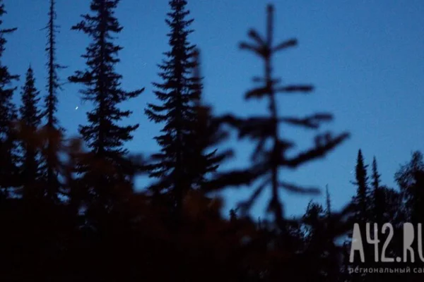 В Сочи туристы с детьми застряли в горах