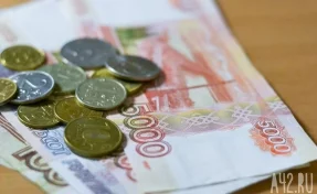 В Кузбассе детский омбудсмен отчитался о доходах за 2017 год