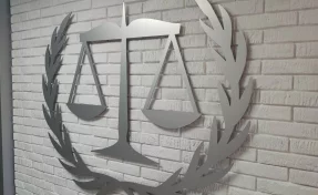 В Новосибирске 8 подростков отправили в СИЗО за диверсию