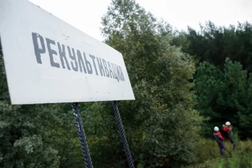 Фото: «Кузбассразрезуголь» в 1,5 раза увеличил площадь рекультивированных земель в 2025 году 3