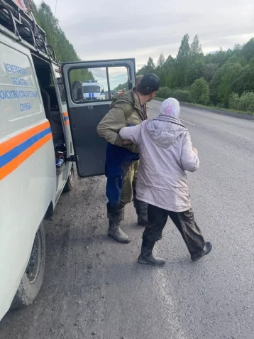 Фото: Жительница Кузбасса потерялась в лесу, собирая черемшу 3