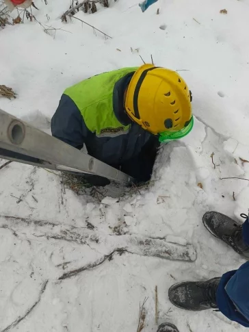 Фото: В Кемерове спасатели вытащили собаку из ямы в Рудничном бору 2