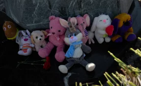 Сбитым пьяным водителем сёстрам было 7 и 9 лет, мать растила их одна