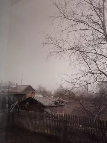 Фото: На Камчатке Безымянный выбросил пепловый столб на высоту 11 километров 1