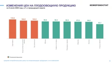 Фото: В Кузбассе за неделю цены на огурцы упали на 16%, картофель подорожал на 10% 1