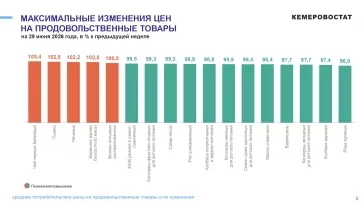 Инфографика: Кемеровостат
