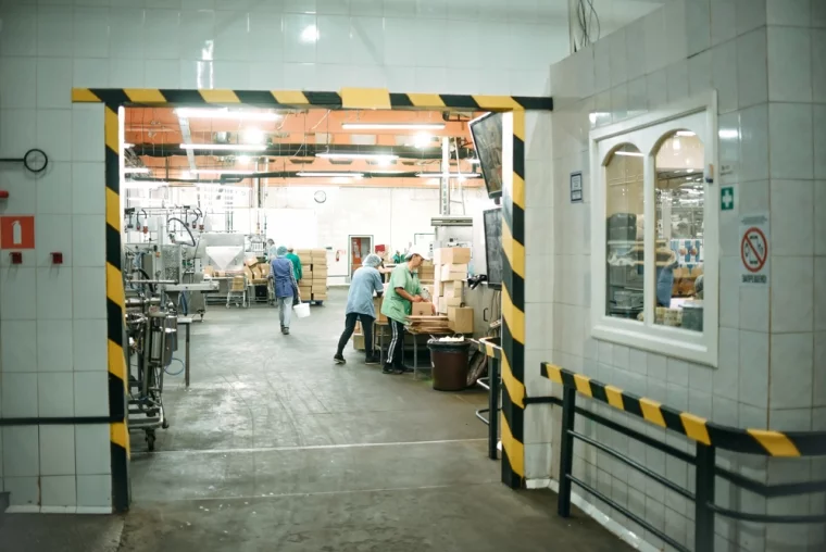 Фото: Побывать на фабрике мороженого и не разлюбить его: личный опыт 15