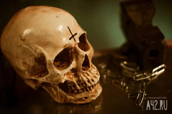 Госдума решила не запрещать рекламу услуг тарологов, магов и ведьм