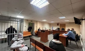 В Кузбассе мужчина напал на 12-летнюю девочку в ТЦ: суд вынес приговор