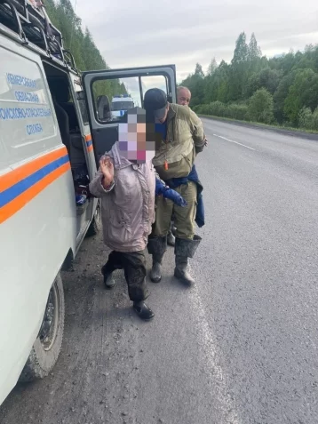 Фото: Жительница Кузбасса потерялась в лесу, собирая черемшу 4