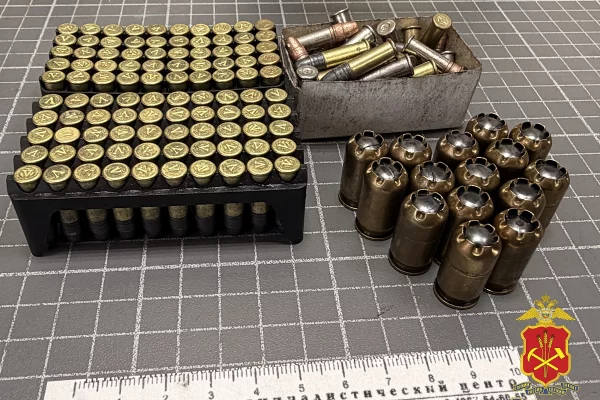 Кузбассовец скрыл от полиции более 200 патронов после сдачи оружия