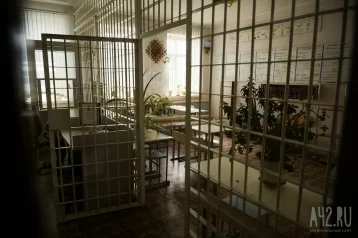 Фото: На Камчатке осуждённый за взятки экс-мэр лишился части руки на принудительных работах 1