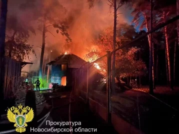 Фото: Сотрудники МЧС локализовали пожар в Новосибирском зоопарке 1