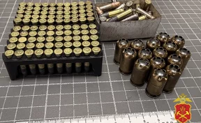 Кузбассовец скрыл от полиции более 200 патронов после сдачи оружия