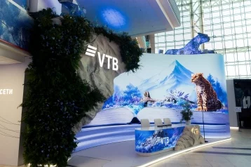 Фото:  Россияне выбирают контроль за собственными средствами  		 1