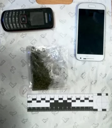 Фото: В Кемерове наркоторговцы прятали «спайс» в диване 1