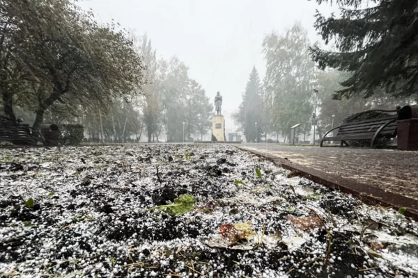 Осадки пообещали синоптики кузбассовцам на праздник
