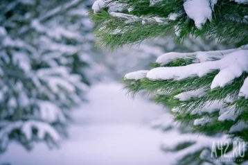 Фото: До -25 и снег: синоптики дали прогноз погоды на конец недели в Кузбассе 1