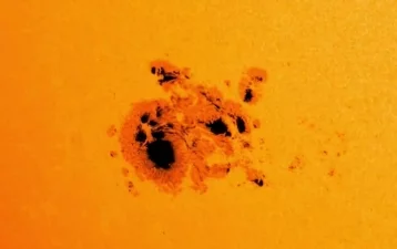 Фото: NASA показало гигантское пятно на Солнце  1