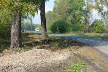 Фото: В Кемерове 38 уличных фонарей осветят дорогу в жилом районе Ягуновский 2