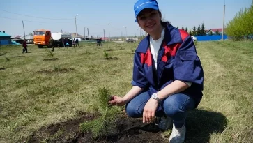 Фото: 1650 саженцев в память о погибших в Великой Отечественной войне высадят в Кузбассе 2
