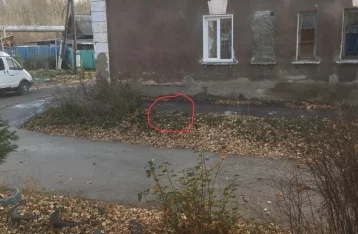 Фото: Появились подробности падения 4-летнего ребёнка в канализационный колодец в Кемерове 1