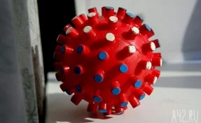 Российские учёные создали препарат, в 16 раз снижающий концентрацию коронавируса