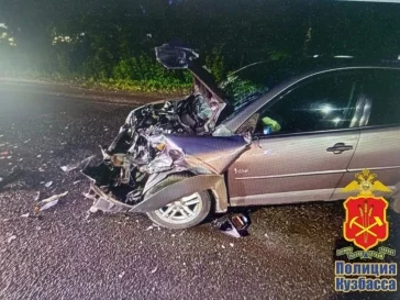 Фото: В Кузбассе виновника смертельного ДТП отправят в колонию на 5 лет  1